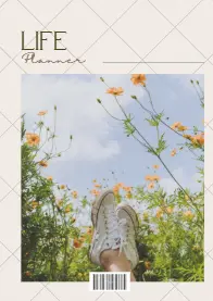 ✨ Planner de Carreira & Bem-Estar